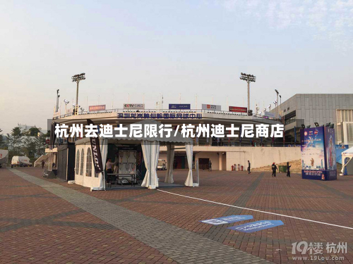 杭州去迪士尼限行/杭州迪士尼商店-第3张图片