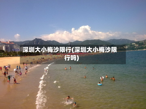 深圳大小梅沙限行(深圳大小梅沙限行吗)-第2张图片