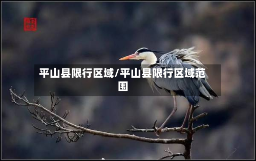 平山县限行区域/平山县限行区域范围-第2张图片