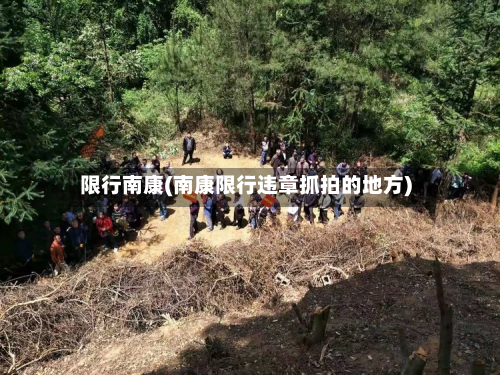 限行南康(南康限行违章抓拍的地方)-第2张图片