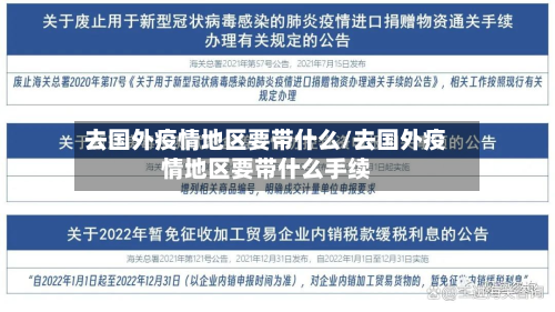 去国外疫情地区要带什么/去国外疫情地区要带什么手续-第2张图片