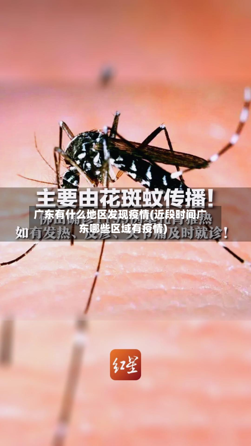 广东有什么地区发现疫情(近段时间广东哪些区域有疫情)