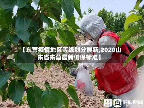 【东营疫情地区等级划分最新,2020山东省东营最新低保标准】