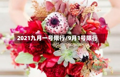 2021九月一号限行/9月1号限行-第2张图片