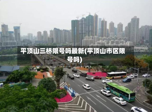 平顶山三桥限号吗最新(平顶山市区限号吗)-第2张图片