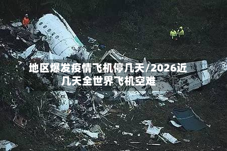 地区爆发疫情飞机停几天/2026近几天全世界飞机空难