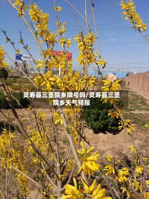 灵寿县三圣院乡限号吗/灵寿县三圣院乡天气预报-第2张图片