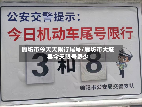 廊坊市今天天限行尾号/廊坊市大城县今天限号多少-第3张图片