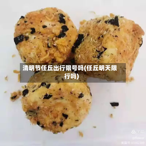 清明节任丘出行限号吗(任丘明天限行吗)-第2张图片