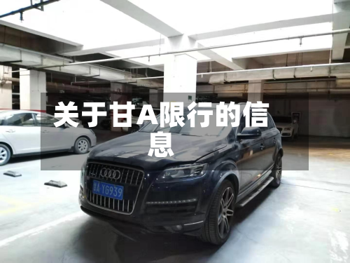 关于甘A限行的信息