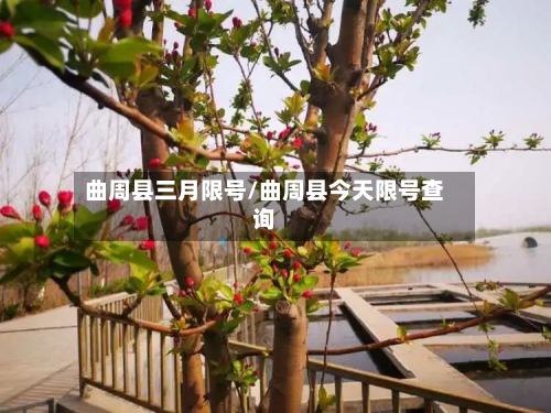 曲周县三月限号/曲周县今天限号查询