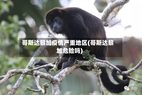 哥斯达黎加疫情严重地区(哥斯达黎加危险吗)-第2张图片