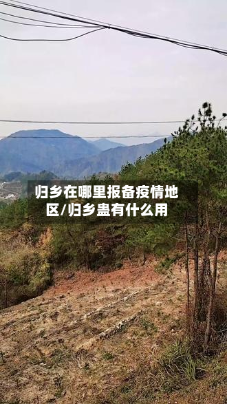 归乡在哪里报备疫情地区/归乡蛊有什么用-第2张图片