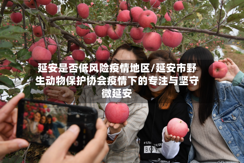 延安是否低风险疫情地区/延安市野生动物保护协会疫情下的专注与坚守微延安-第2张图片