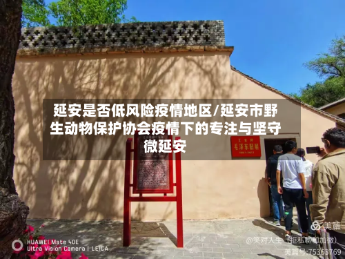 延安是否低风险疫情地区/延安市野生动物保护协会疫情下的专注与坚守微延安
