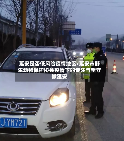 延安是否低风险疫情地区/延安市野生动物保护协会疫情下的专注与坚守微延安-第3张图片
