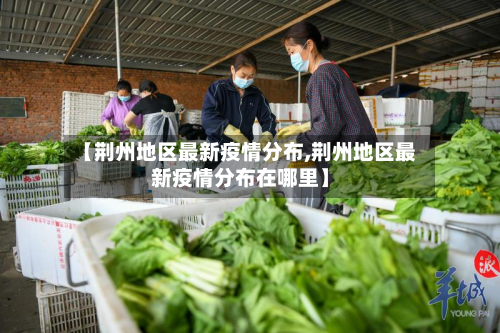 【荆州地区最新疫情分布,荆州地区最新疫情分布在哪里】