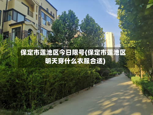 保定市莲池区今日限号(保定市莲池区明天穿什么衣服合适)