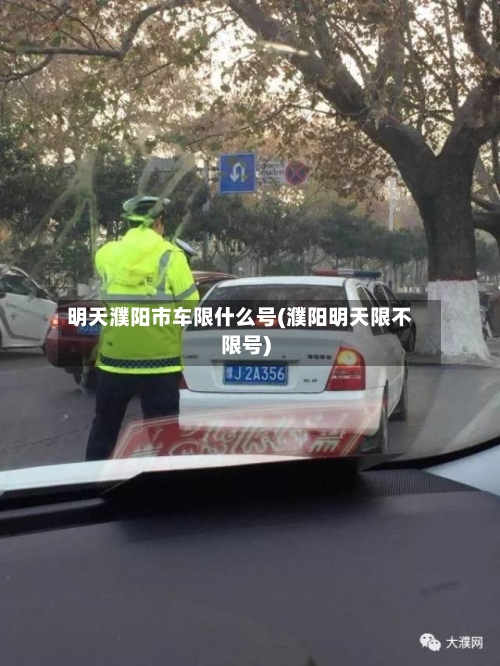 明天濮阳市车限什么号(濮阳明天限不限号)