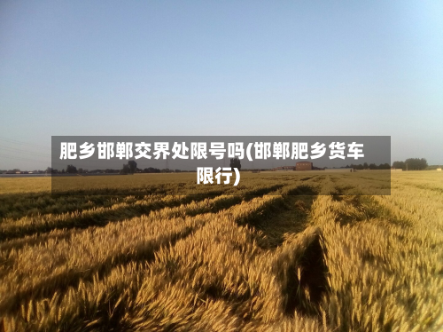 肥乡邯郸交界处限号吗(邯郸肥乡货车限行)