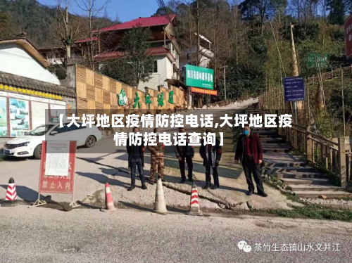 【大坪地区疫情防控电话,大坪地区疫情防控电话查询】