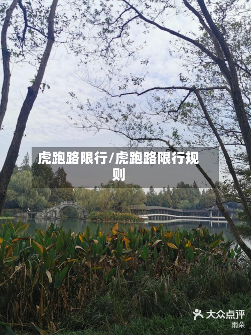 虎跑路限行/虎跑路限行规则-第3张图片