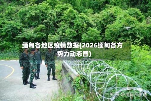 缅甸各地区疫情数据(2026缅甸各方势力动态图)