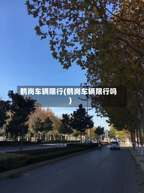 鹤岗车辆限行(鹤岗车辆限行吗)-第3张图片