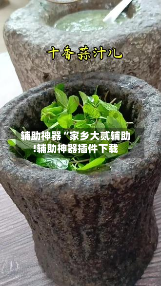 辅助神器“家乡大贰辅助!辅助神器插件下载-第3张图片