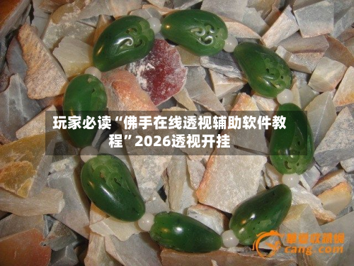 玩家必读“佛手在线透视辅助软件教程”2026透视开挂-第2张图片