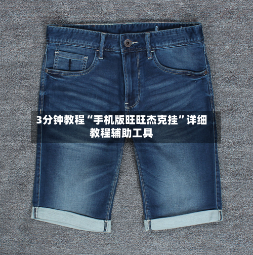 3分钟教程“手机版旺旺杰克挂”详细教程辅助工具