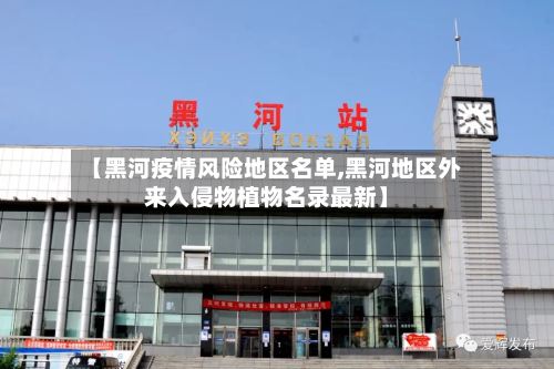 【黑河疫情风险地区名单,黑河地区外来入侵物植物名录最新】