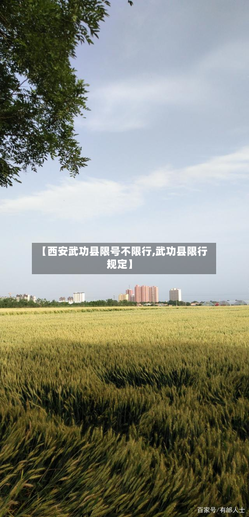 【西安武功县限号不限行,武功县限行规定】