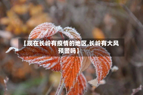 【现在长岭有疫情的地区,长岭有大风预警吗】-第2张图片