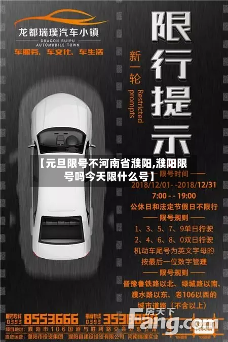 【元旦限号不河南省濮阳,濮阳限号吗今天限什么号】-第2张图片