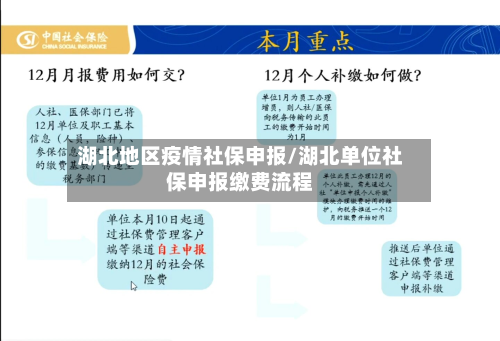 湖北地区疫情社保申报/湖北单位社保申报缴费流程