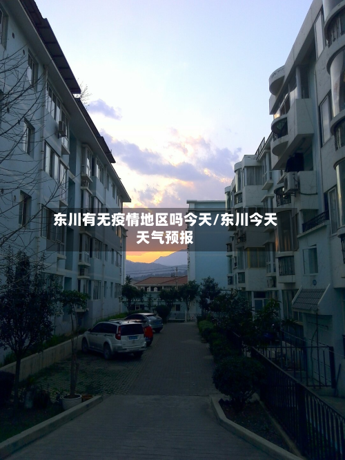 东川有无疫情地区吗今天/东川今天天气预报