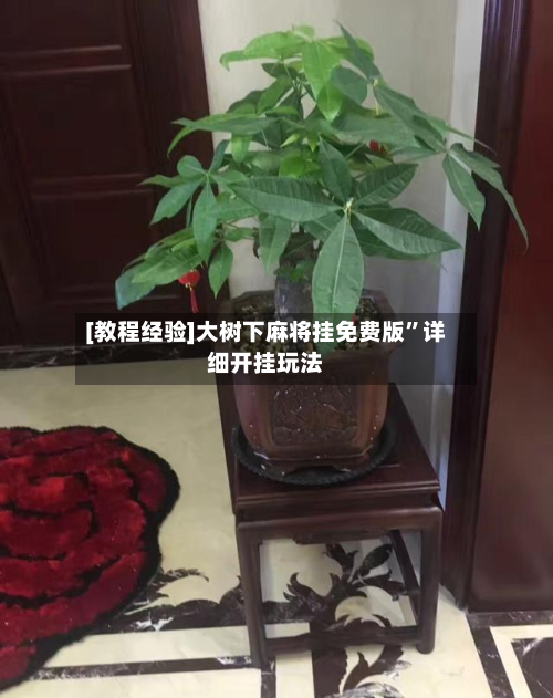 [教程经验]大树下麻将挂免费版”详细开挂玩法