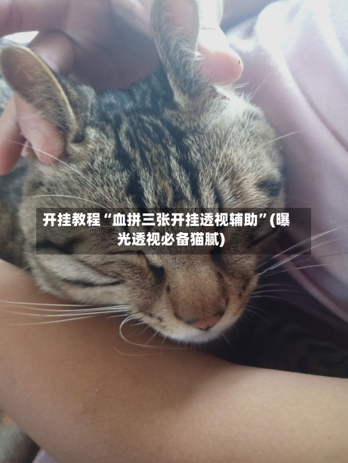 开挂教程“血拼三张开挂透视辅助”(曝光透视必备猫腻)