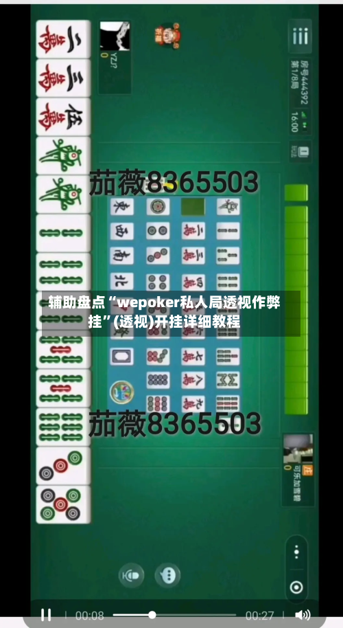 辅助盘点“wepoker私人局透视作弊挂	”(透视)开挂详细教程-第2张图片