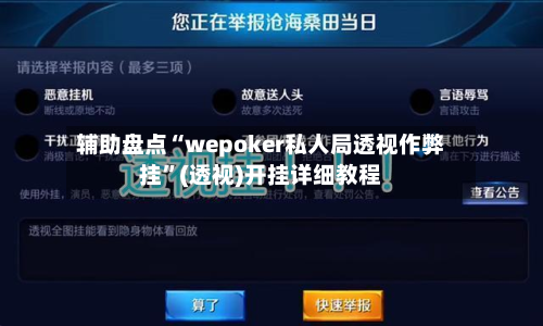 辅助盘点“wepoker私人局透视作弊挂”(透视)开挂详细教程-第3张图片
