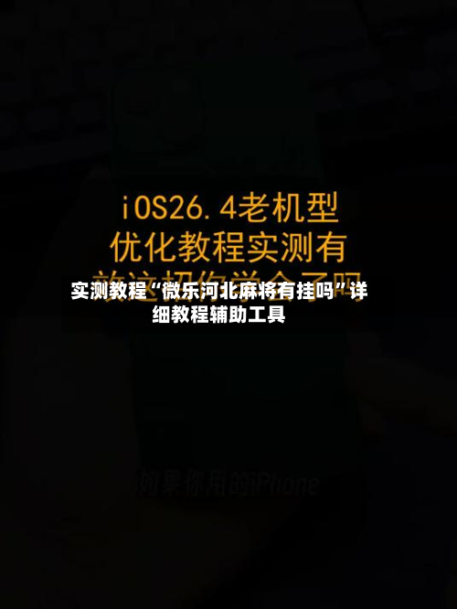 实测教程“微乐河北麻将有挂吗”详细教程辅助工具-第3张图片