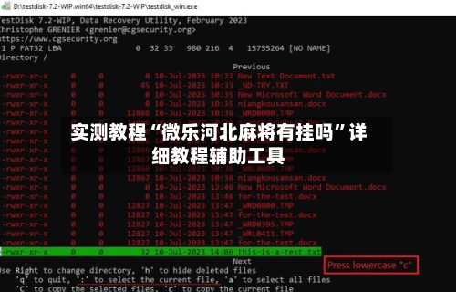 实测教程“微乐河北麻将有挂吗	”详细教程辅助工具-第2张图片