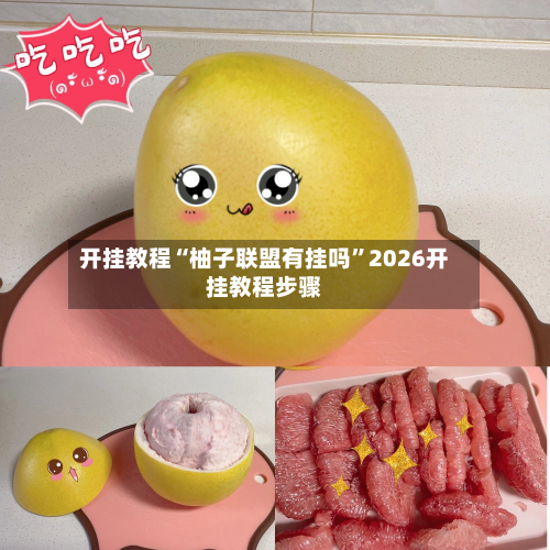 开挂教程“柚子联盟有挂吗”2026开挂教程步骤-第3张图片