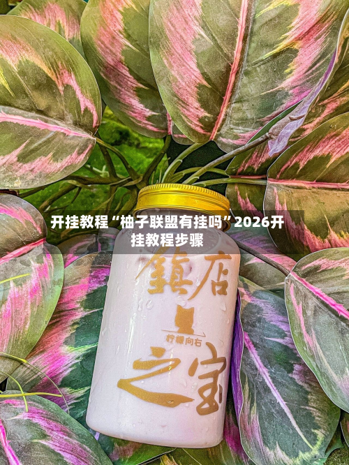 开挂教程“柚子联盟有挂吗”2026开挂教程步骤