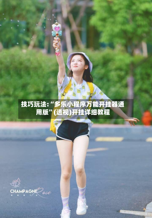 技巧玩法:“多乐小程序万能开挂器通用版	”(透视)开挂详细教程-第2张图片