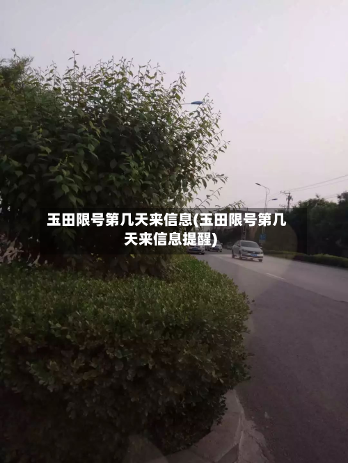 玉田限号第几天来信息(玉田限号第几天来信息提醒)-第3张图片