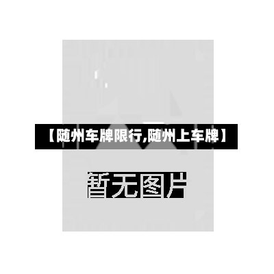 【随州车牌限行,随州上车牌】