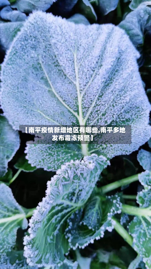 【南平疫情新增地区有哪些,南平多地发布霜冻预警】-第2张图片