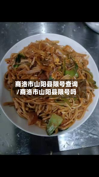 商洛市山阳县限号查询/商洛市山阳县限号吗
